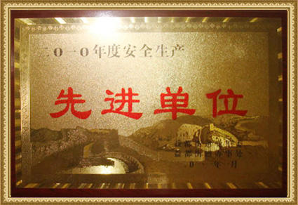 專(zhuān)業(yè)生產(chǎn)氮?dú)鈴椈? title=